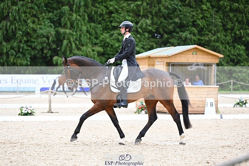 240524-180217-11551 - 162-HAZZLE_DAZZLE-Henry_Hobby