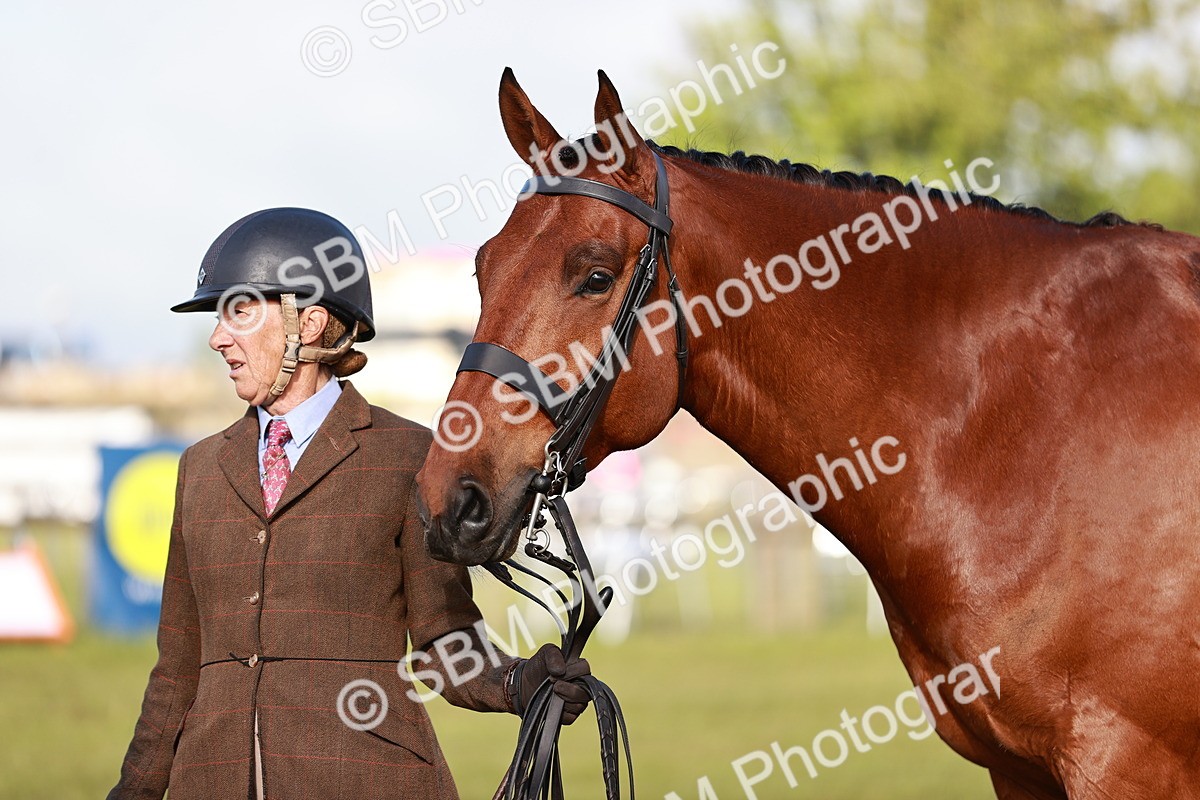 SBM_10801 - Class 81-84 - RIHS Ridden hunters Inc Ladies Hunter