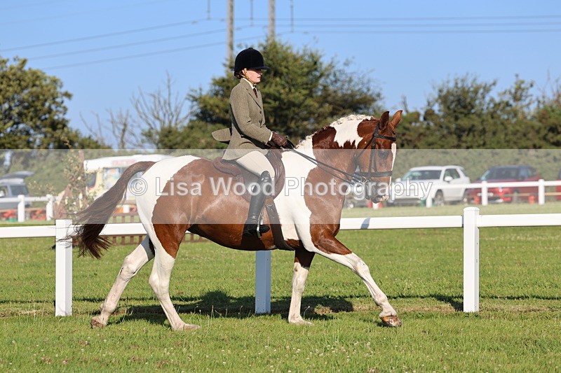 IMG_1205 - Class 27: Ridden Plaited Coloured Horse