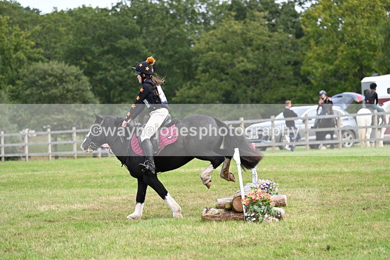 WJ7_8032 - 40cm Time 10:49 to 11:18
