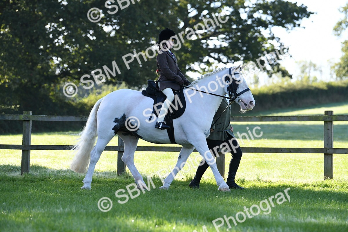 SBM_35314 - S17 - Condition & Turnout - Lead Rein