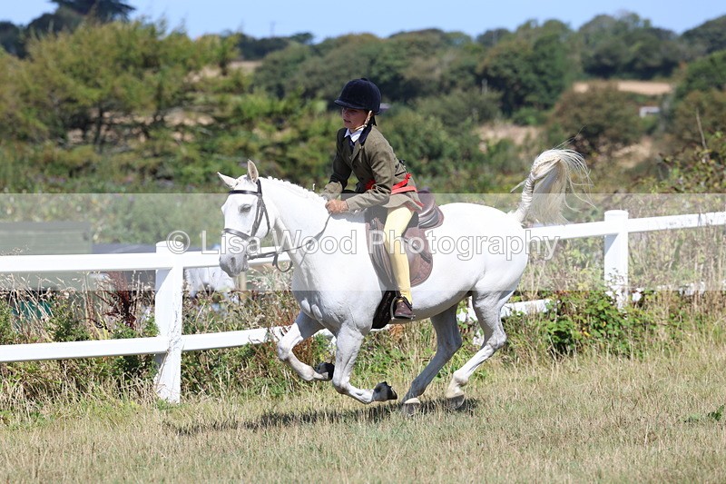 3E7A6396 - Working Hunter Championship