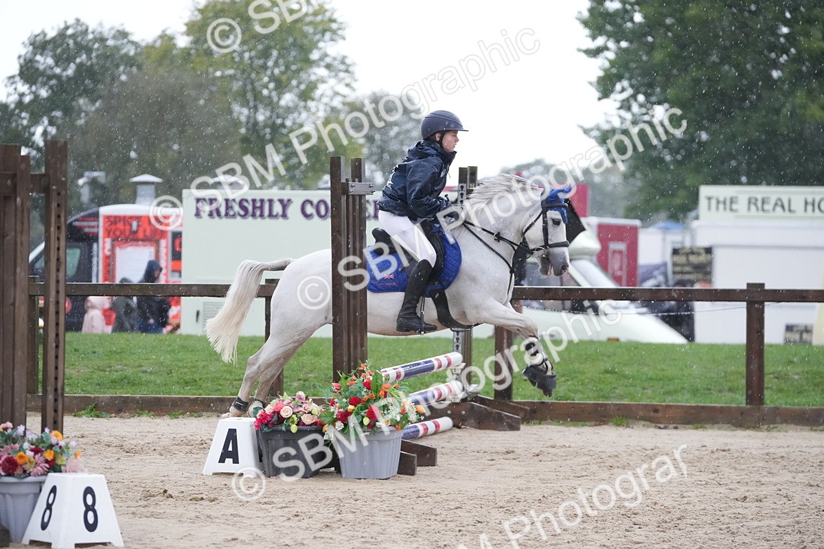 SBM_36211 - J5 - Junior Pony 50cm Championship