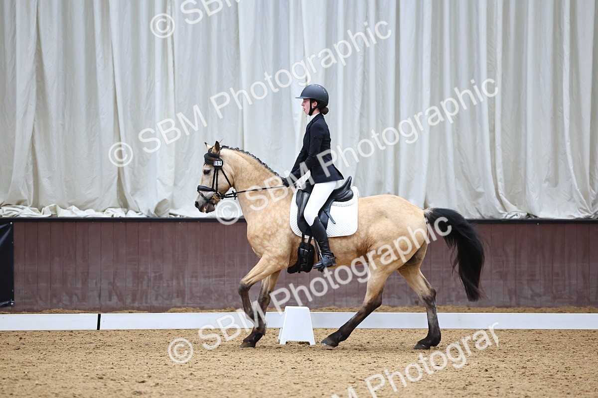 SBM_005438 - Elementary 2