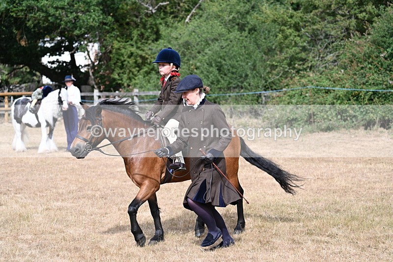 WJ7_6513 - Class 1 Lead Rein Pony