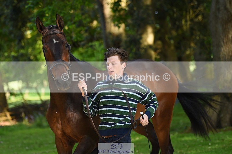 230524-172454-01491 - 174-LANCELOT_BMG-Alfie_Marshall-WEDTrotUp+DR