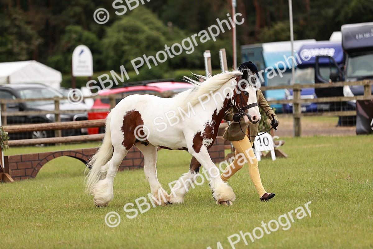 SBM_06039 - Class 39-41 TGCA In Hand and Ridden