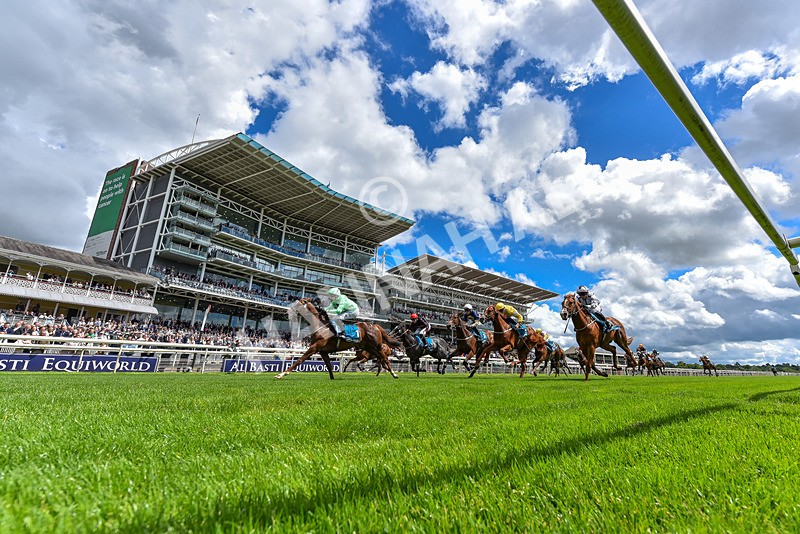 120626-Race 2-Everatease-9995 - Race 2 14.25pm Constant Security Keeping York Racegoers Safe Rous Selling Stakes