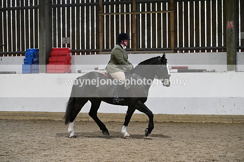 WJ7_3930 - Class 17 Ridden Cob