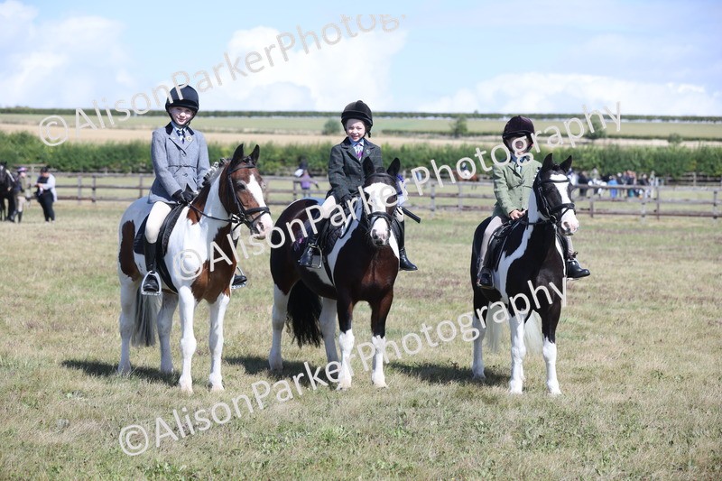 20250831-2590 - Class 16 - Family Pony
