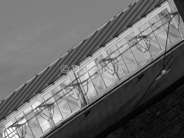 The Porchester Spa, Queensway, Slanted (b&w) - Urban Landscape
