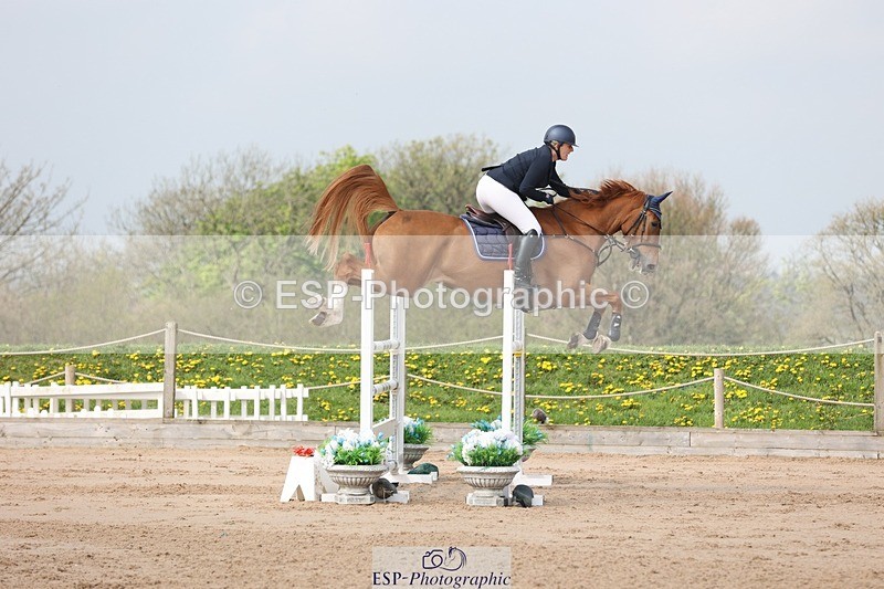 250424-105924-03335 - Cls 33 Young Horse 7yr old