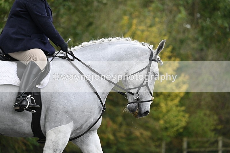 WJ7_2905 - Time 09:00 to 09:35