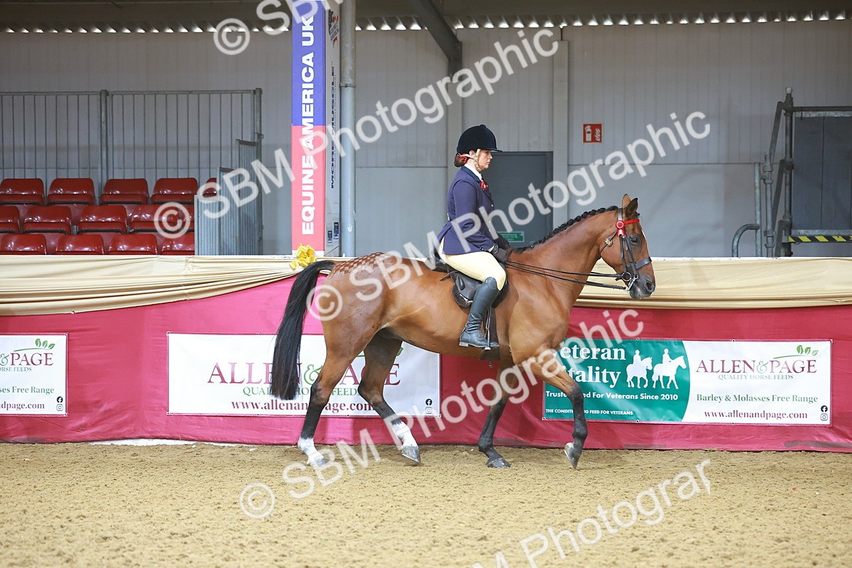 SBM_07575 - Class 101 - HOYS Veteran Qualifier - Ridden Diamond