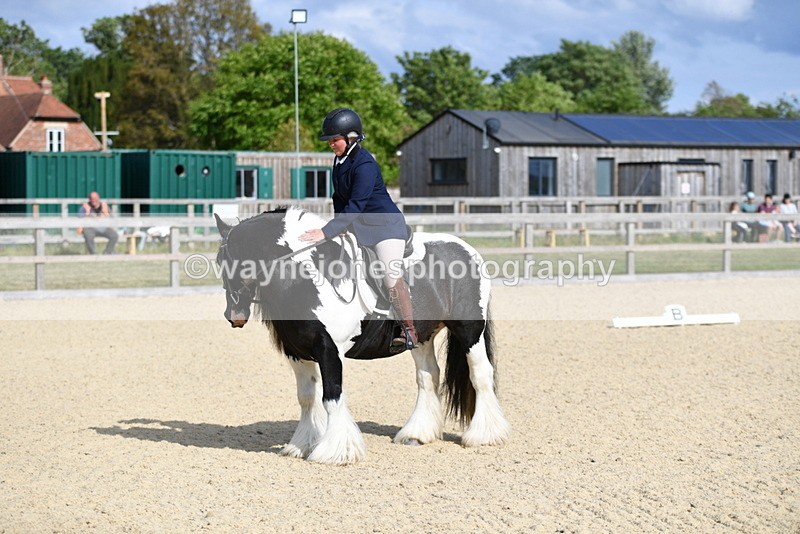 WJ5_7792 - Time 16:40 to 16:55