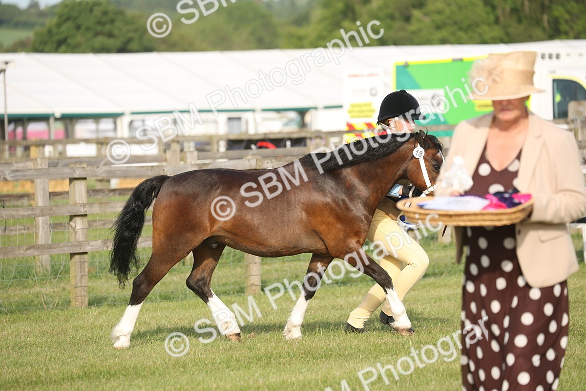 SBM_10587 - Class 33-38 - SSADL RIHS Qualifiers