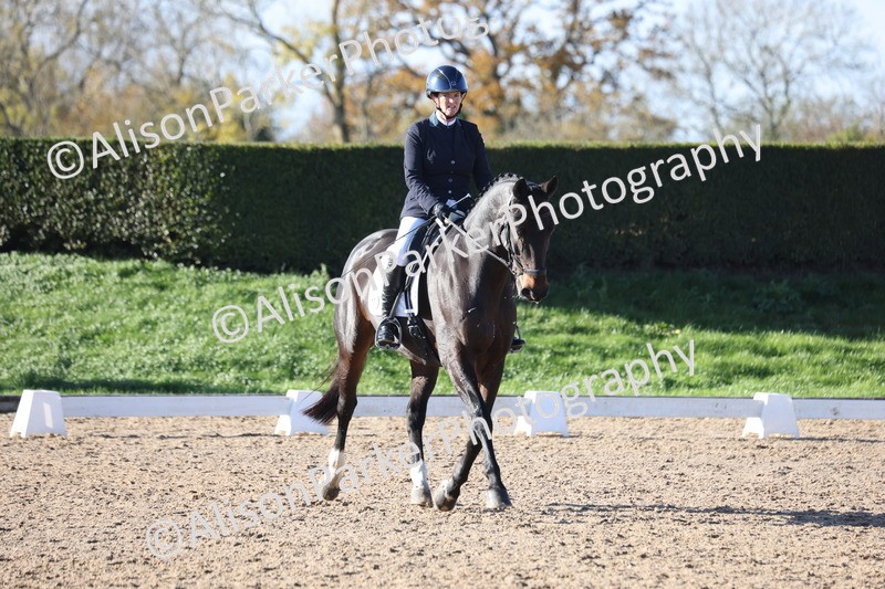 20251102-0962 - Class 5 - Elementary 5