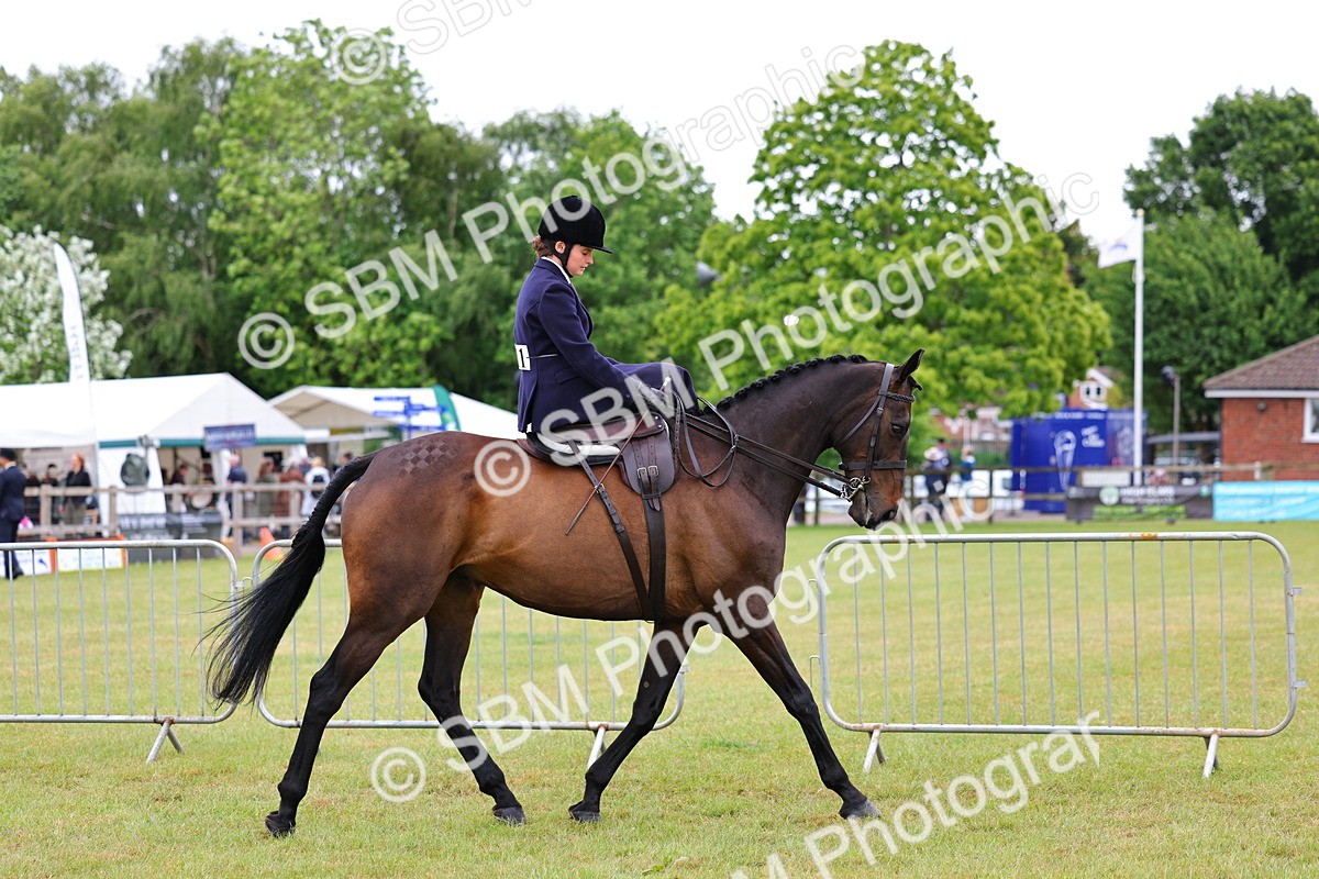 SBM_02709 - Class 9-11 Side Saddle including LIHS Rising Star Ladies Show Horse