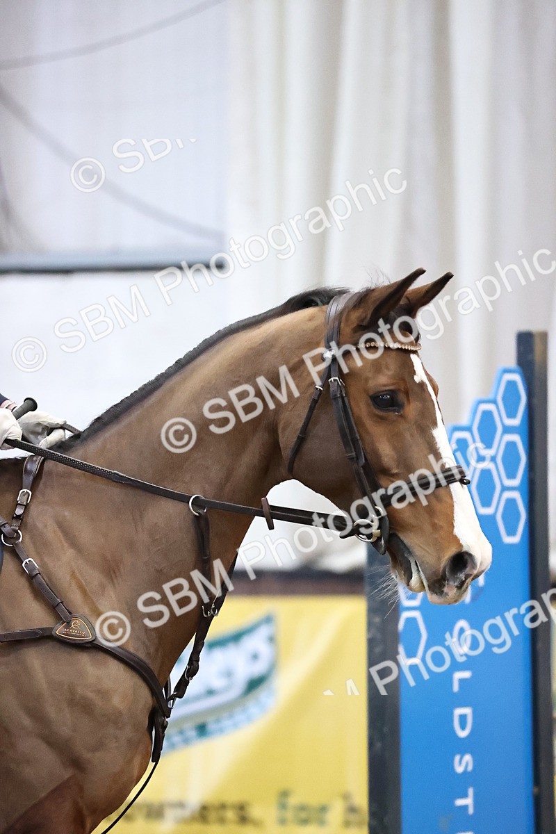 SBM_003575 - Class 14 - Senior British Novice - 90cm