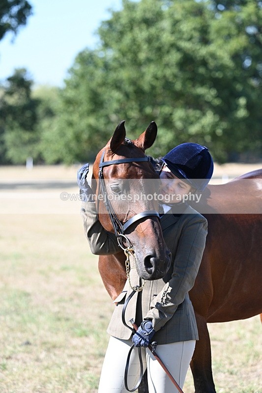 WJ7_1930 - Class 43 Best Six Legs (In hand)
