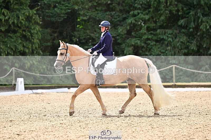 260802A-111146-05726 - Novice Silver break - break
