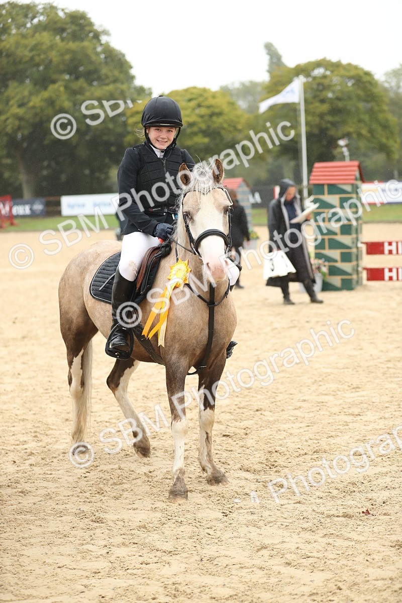 SBM_74106 - J16 - Junior Pony 75cm Championship