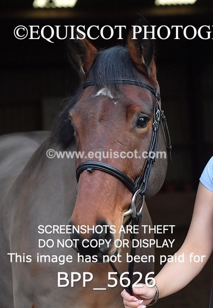 BPP_5626 - Imogen Gray