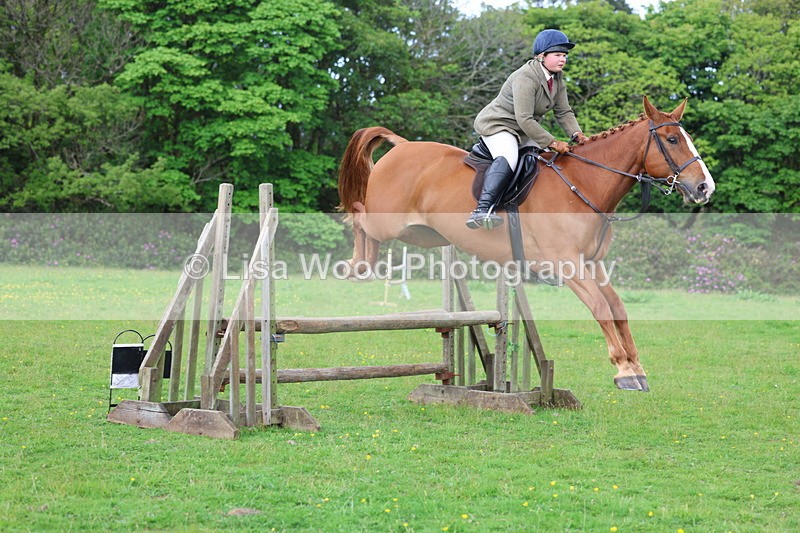 3E7A2528 - Classes 30 and 31: 80cm Working Hunter