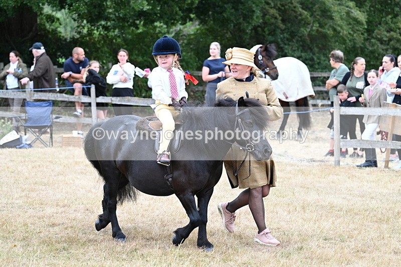 WJ7_8497 - Class 4 Prettiest Mare up to 14.2hh