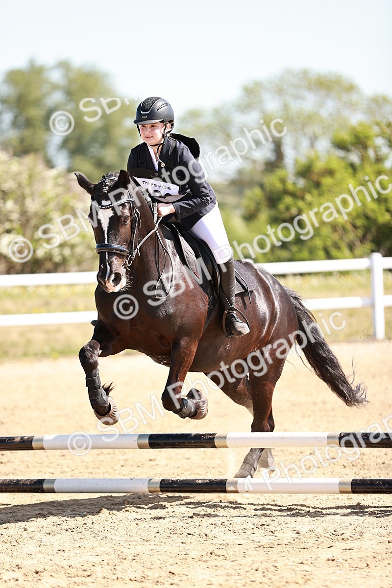 SBM_006956 - Class 2 - 50cm