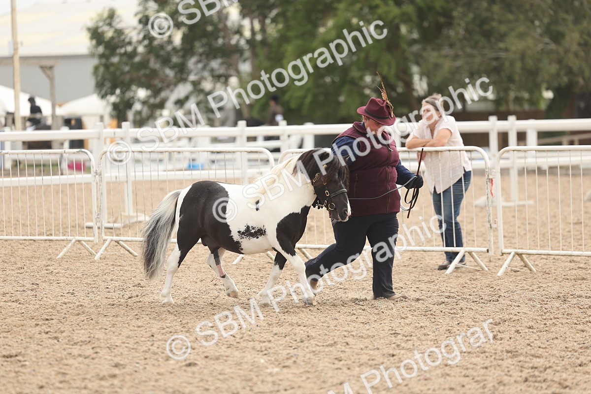 SBM_03221 - Class 16 - IH M&M Wildcard