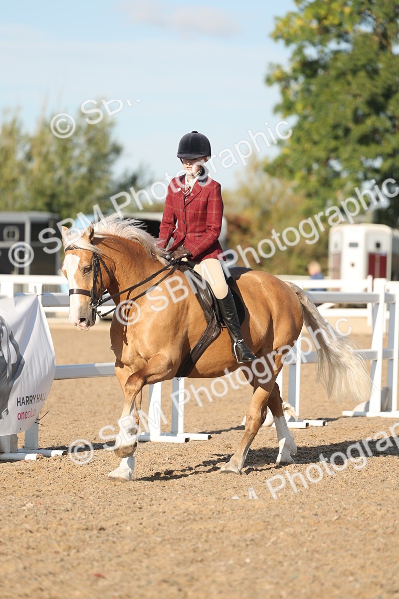 SBM_11039 - Class 302 - Ridden M&M Large Breeds