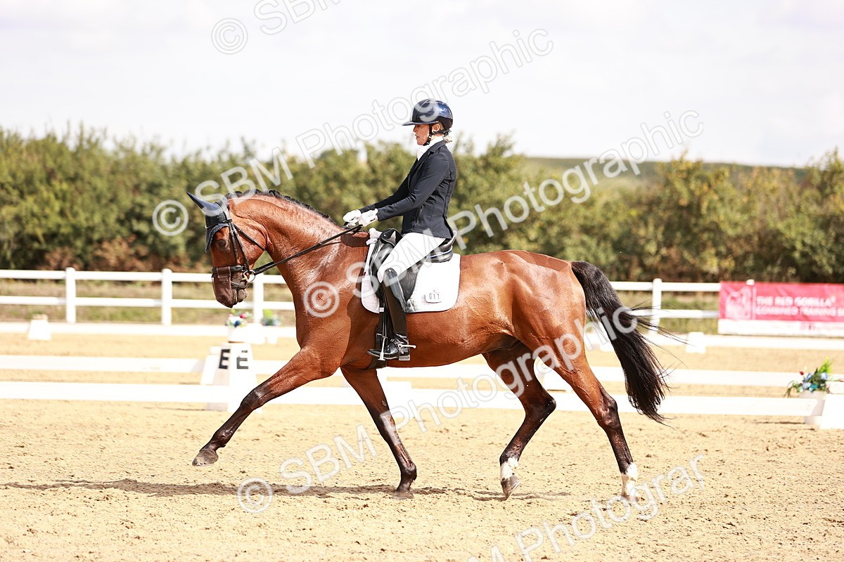SBM_017653 - Class 11 - Advanced Medium 6