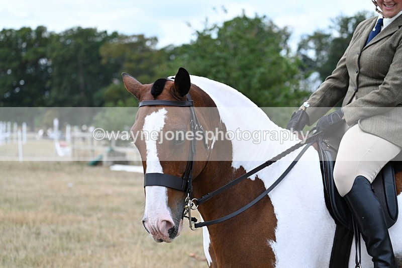 WJ7_5326 - Class 12 Ridden Cob