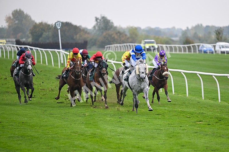 181025-Race 5-Mudamer-0815 - Race 5