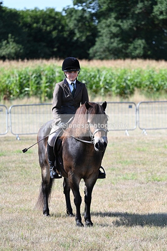 WJ7_3160 - Class 8 Ridden Tack & Turnout