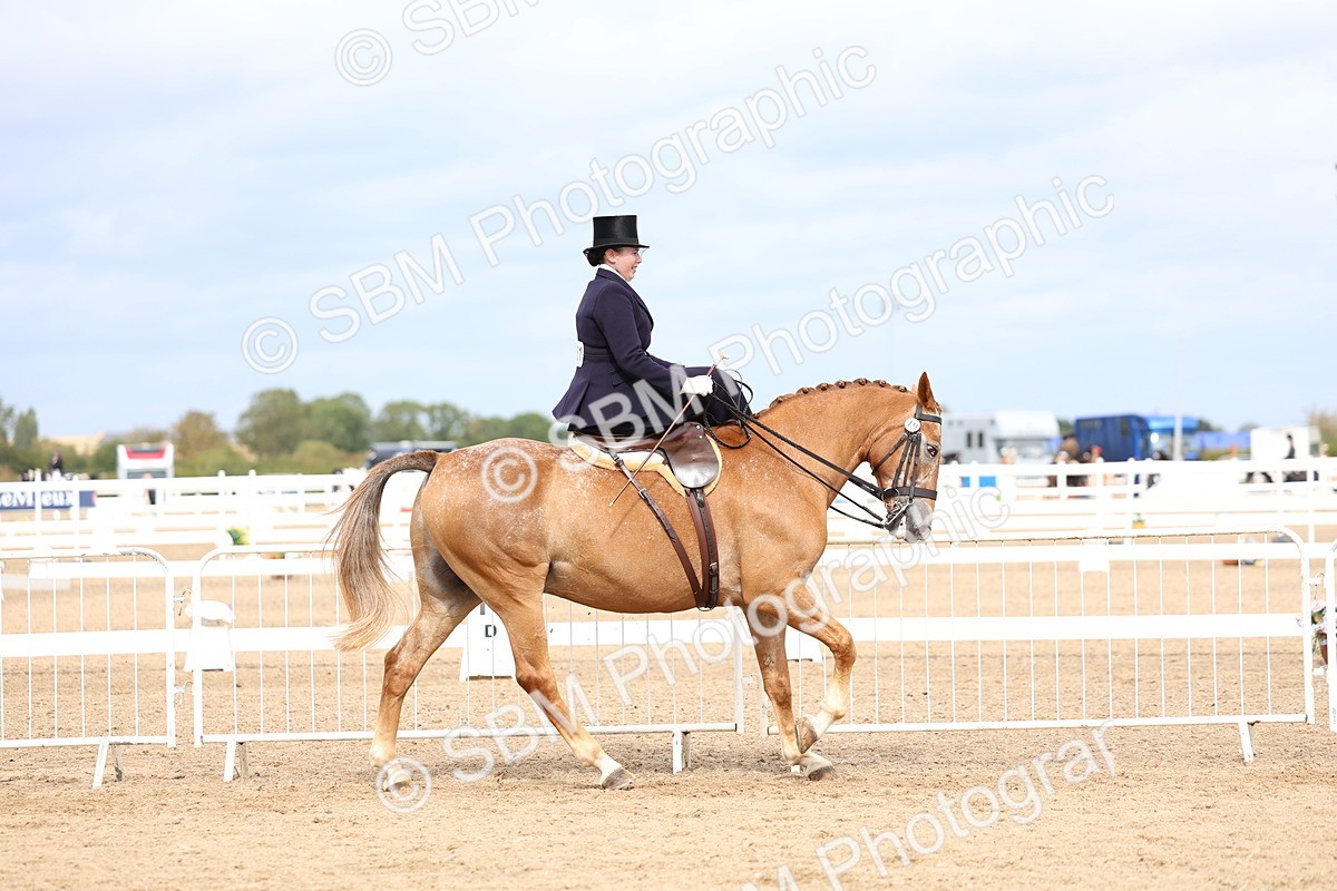 SBM_03415 - Class 24 - SSA Concours d'elegance (any age)