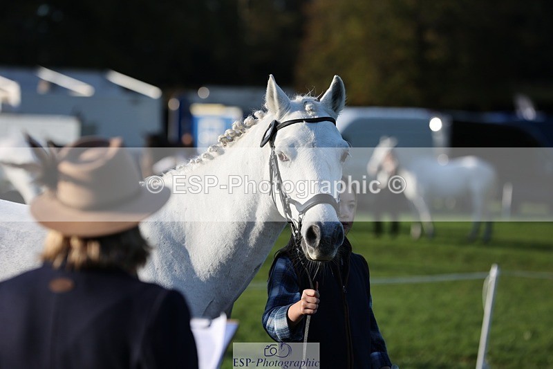 241027-085734-14925 - 449-Poppy.Murfin-SILVER.ECHO