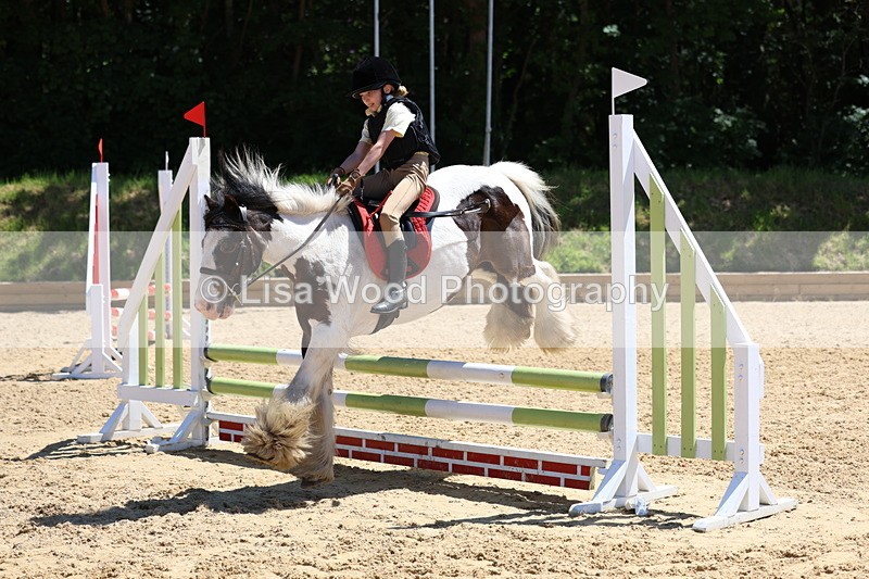 3E7A2613 - Class 4/5: 60cm Open Teams and Individuals