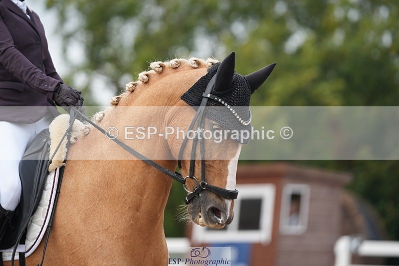 250907-152917-09541 - 121-Jodie.SmithAmber