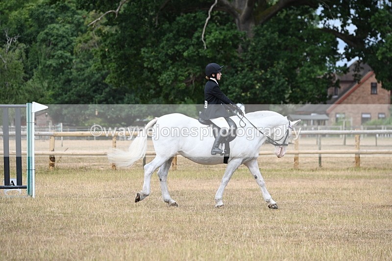 WJ6_7526 - Class 9 Tack and Turnout