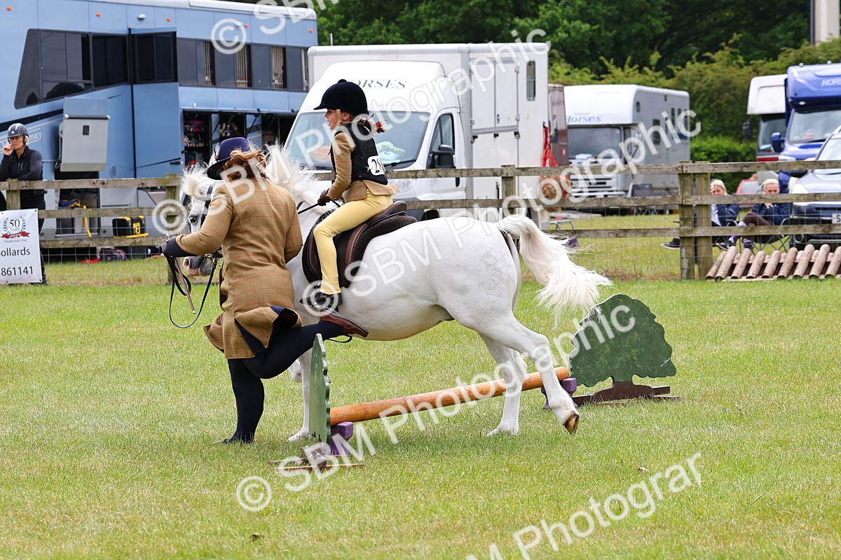 SBM_08193 - Class 42-43 - LIHS BSPS Heritage Working Sports Pony