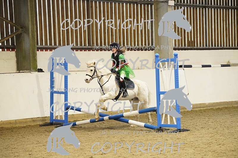 _DSC3266 - 50cm/60cm Pairs