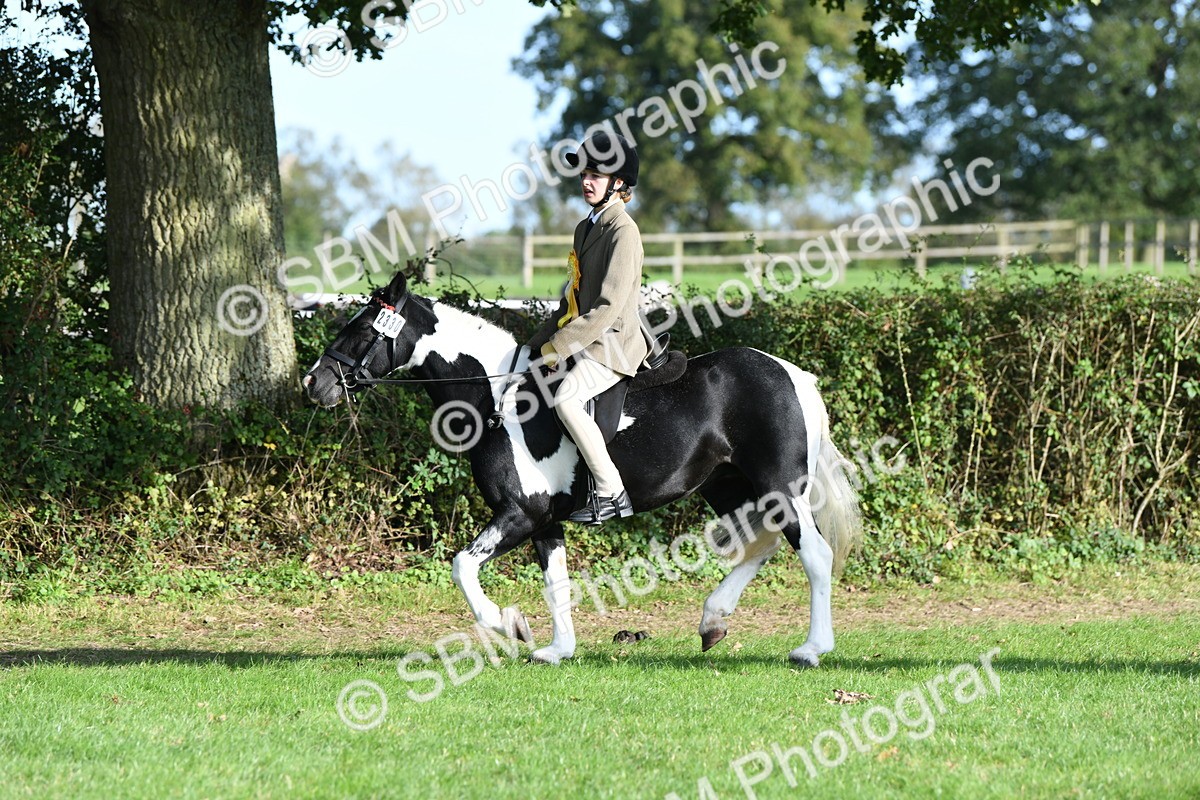 SBM_52091 - S21 - Novice & Newcomers 1st Ridden Pony