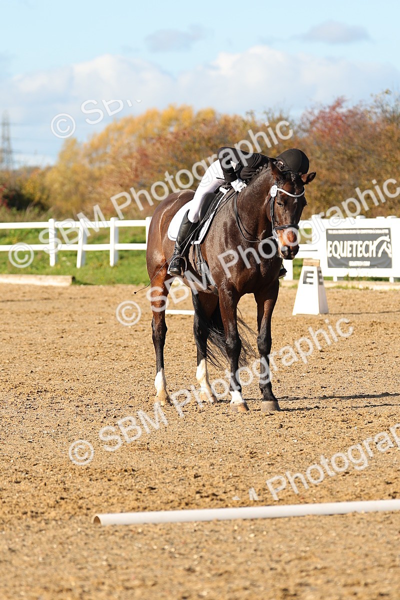 SBM_001489 - Medium 3