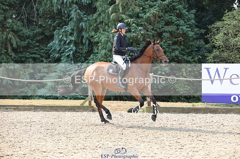 250816A-101609-00641 - Cls 3 Snr British Novice