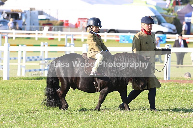 JPP_0662 - Class 16: Cornish Combination Leading Rein