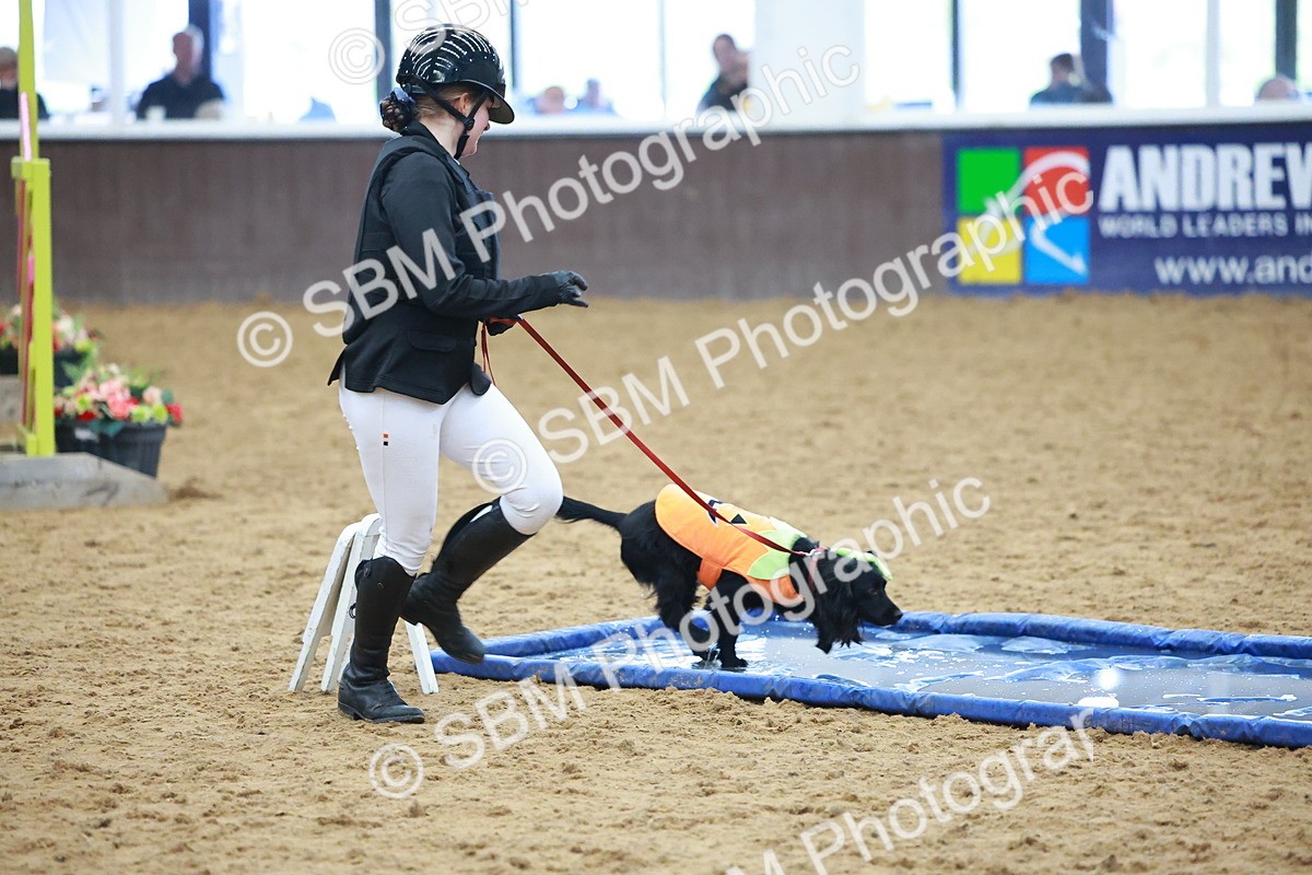 SBM_001694 - Class 3 - Horse & Hound (60cm)