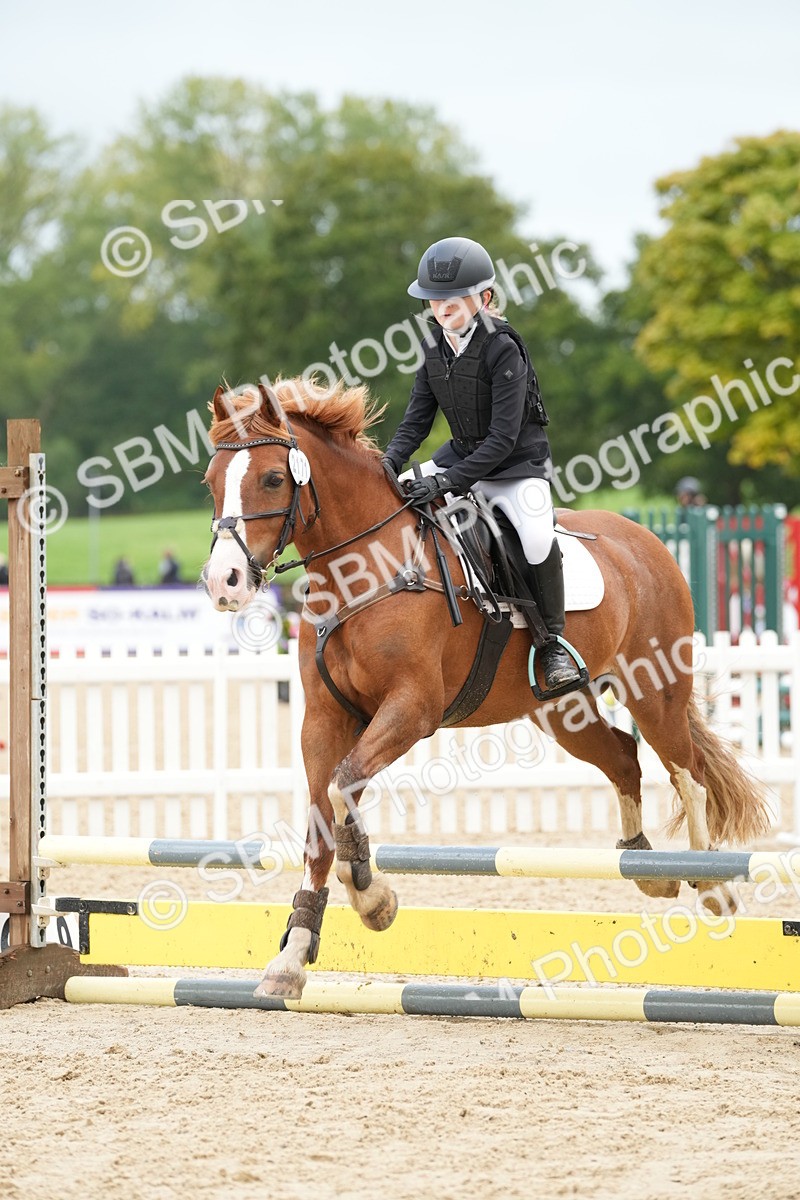 SBM_32497 - J5 - Junior Pony 50cm Championship
