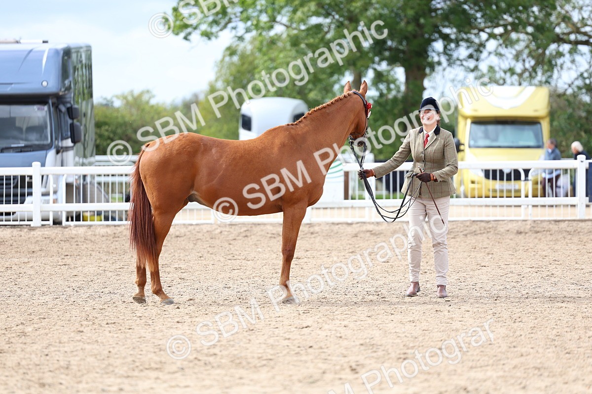 SBM_04465 - Class 26 - IH Foreign Breeds - Part Bred